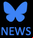 Bluesky icon