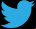 Twitter Icon